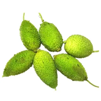 Organic Bitter Gourd